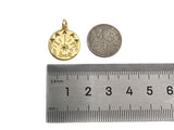 CZ Micro Pave Luck North Star Coin Pendant/Charm,Sku#L405