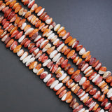 Natural  Spiny Oyster Beads, sku#U1858