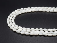 3x6/5x8/6x9/6x12/6x15/8x10/9x12mm  White Mother of Pearl, Drum/Barrel shaped Beads, White Shell Beads, 15.5inch Full Strand, sku#T36