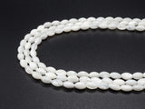 3x6/5x8/6x9/6x12/6x15/8x10/9x12mm  White Mother of Pearl, Drum/Barrel shaped Beads, White Shell Beads, 15.5inch Full Strand, sku#T36