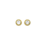 Gold Clear CZ Round CZ Stud Earrings, Sku#LX332