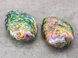 Large One Piece Abalone Shell Beads, Abalone Puffy Oval Shape Beads, 45x55mm, SKU#R20