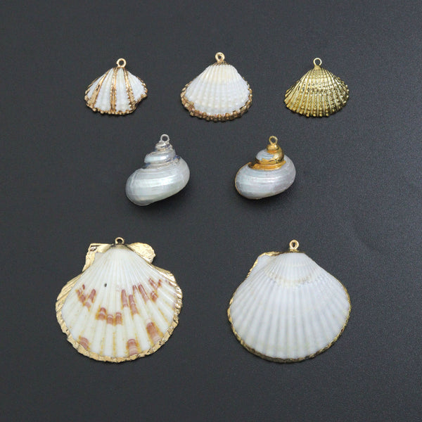 Associated Natural Seashell Pendant charm, Gold Trim Shell pendant charm, Assorted Seashells, Sku#EF823
