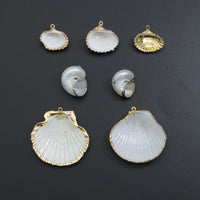 Associated Natural Seashell Pendant charm, Gold Trim Shell pendant charm, Assorted Seashells, Sku#EF823
