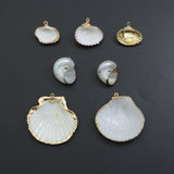 Associated Natural Seashell Pendant charm, Gold Trim Shell pendant charm, Assorted Seashells, Sku#EF823