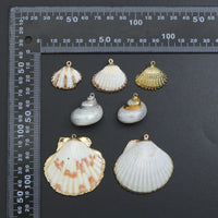Associated Natural Seashell Pendant charm, Gold Trim Shell pendant charm, Assorted Seashells, Sku#EF823
