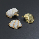 Associated Natural Seashell Pendant charm, Gold Trim Shell pendant charm, Assorted Seashells, Sku#EF823