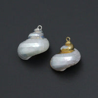 Associated Natural Seashell Pendant charm, Gold Trim Shell pendant charm, Assorted Seashells, Sku#EF823