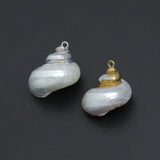 Associated Natural Seashell Pendant charm, Gold Trim Shell pendant charm, Assorted Seashells, Sku#EF823