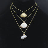Associated Natural Seashell Pendant charm, Gold Trim Shell pendant charm, Assorted Seashells, Sku#EF823