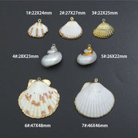 Associated Natural Seashell Pendant charm, Gold Trim Shell pendant charm, Assorted Seashells, Sku#EF823
