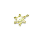 Gold Clear CZ Evil Eye Star Charm Pendant, Sku#LK981