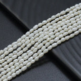2-3mm Freshwater Pearl Ringed Shape Beads, SkU#U2247