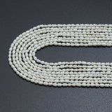 2-3mm Freshwater Pearl Ringed Shape Beads, SkU#U2247