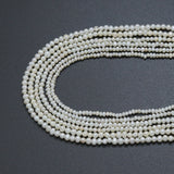 Quality Freshwater Pearl Rondelle Shape Beads, Sku#U2490