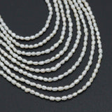1.8-2mm Rice Shape Freshwater Pearl Beads, 4A Quality, Sku#U2519