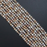 Multicolor Freshwater Pearl Coin Shape Beads, 3A Quality, Sku#U2521