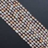 5-6mm Multicolor Freshwater Pearl Rice Shape Beads, 3A Quality, SKu#U2522