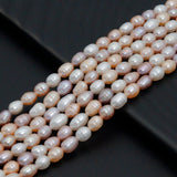 5-6mm Multicolor Freshwater Pearl Rice Shape Beads, 3A Quality, SKu#U2522