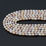 5-6mm Multicolor Freshwater Pearl Rice Shape Beads, 3A Quality, SKu#U2522