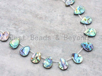 Natural Abalone Teardrop Shape Shell Beads, Abalone drop shape beads, 12x16mm, 15.5" Full Strand, SKU#R4