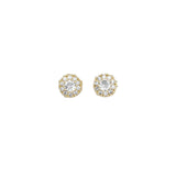 Gold Clear CZ Round Flower Stud Earrings, Sku#LX330