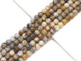 Natural Crazy Lace Agate Round Smooth Beads, SKu#U1328