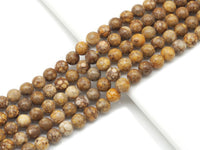 Genuine Brown Snail Fossil Agate Round Smooth Beads, Sku#U1350