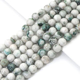 Genuine High Quality Tree Agate Round Smooth Beads, 6mm/8mm/10mm, Sku#U1627