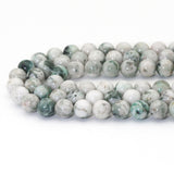 Genuine High Quality Tree Agate Round Smooth Beads, 6mm/8mm/10mm, Sku#U1627