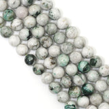 Genuine High Quality Tree Agate Round Smooth Beads, 6mm/8mm/10mm, Sku#U1627