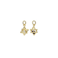 CZ Gold 3D Star Cage with Rolling Black Clear Diamond Charm, Sku#ZX157