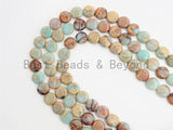 Quality Natural Serpentine Flat Coin Smooth Beads,10mm African Opal beads, Gemstone Beads, 15.5inch strand, SKU#U314