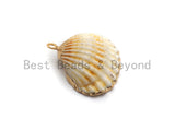 Gold Plated Natural White Scallop Shell Pendant, Sea Shells Pendant, Beach Charm, Shell Jewelry, Clam Shell Charm, 23x24mm, sku#V34