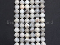 SPECIAL Checkerboard Cut Natural Agate Coin Shape beads, 6mm/8mm/10mm Natural Turtle Shell Cut Agate Beads, 16" Full strand, Sku#U761
